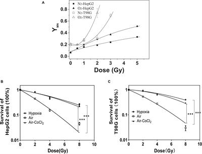 The Roles of HIF-1α in Radiosensitivity and Radiation-Induced Bystander Effects Under Hypoxia